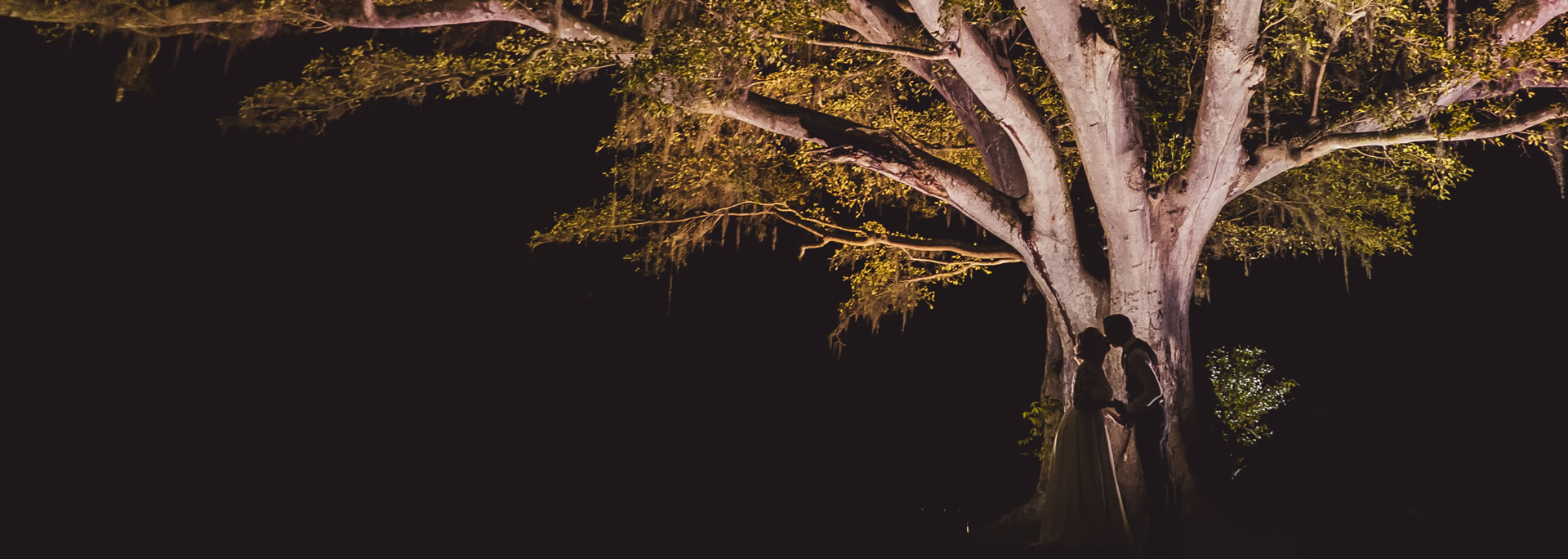 Casal sob a figueira centenária